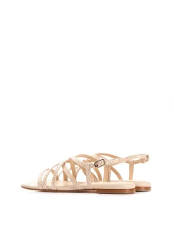SAKURA Pitón taupe