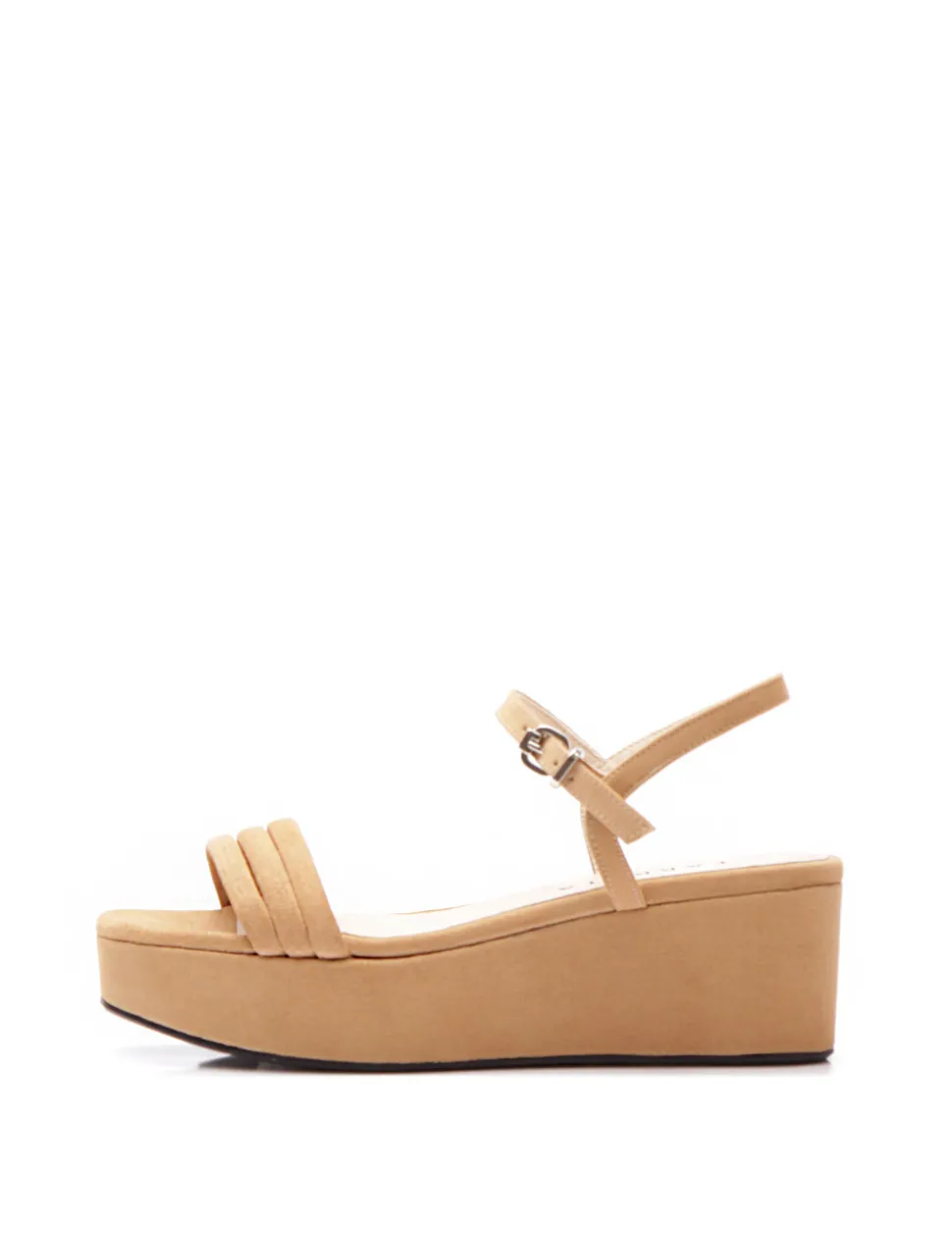 SILANA ante camel